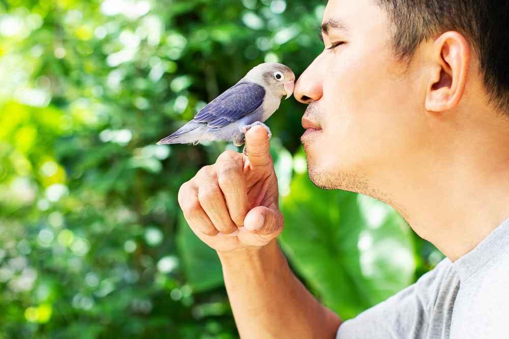 psittacosis