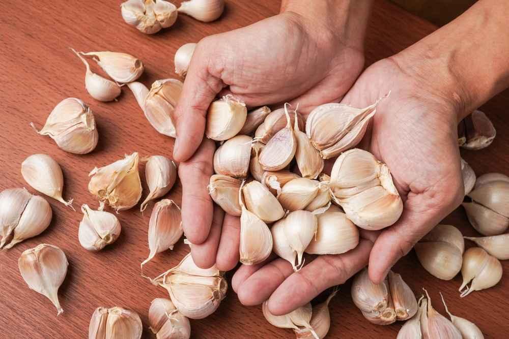 5 Manfaat Bawang Putih untuk Kesehatan Penis
