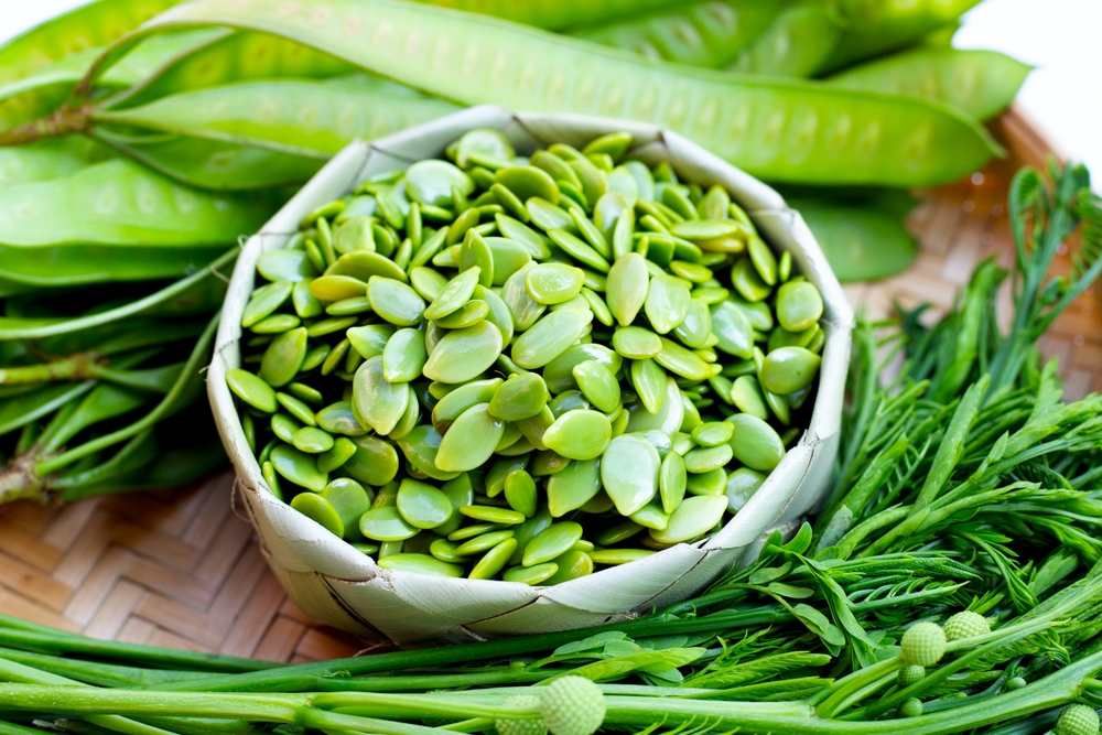 6 Manfaat Petai Cina untuk Ibu Hamil dan Tips Mengolahnya