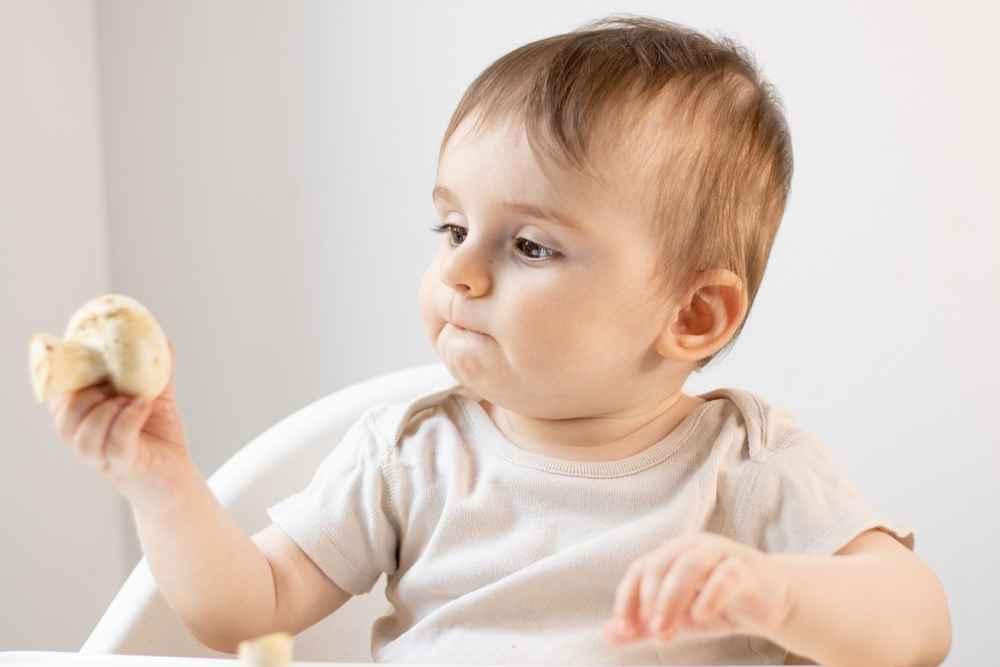 Jamur untuk MPASI, Ketahui Manfaat dan Tips Amannya