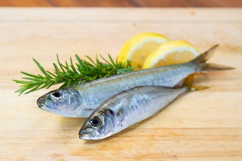4 Resep Ikan Sarden untuk MPASI, Adakah Manfaatnya?