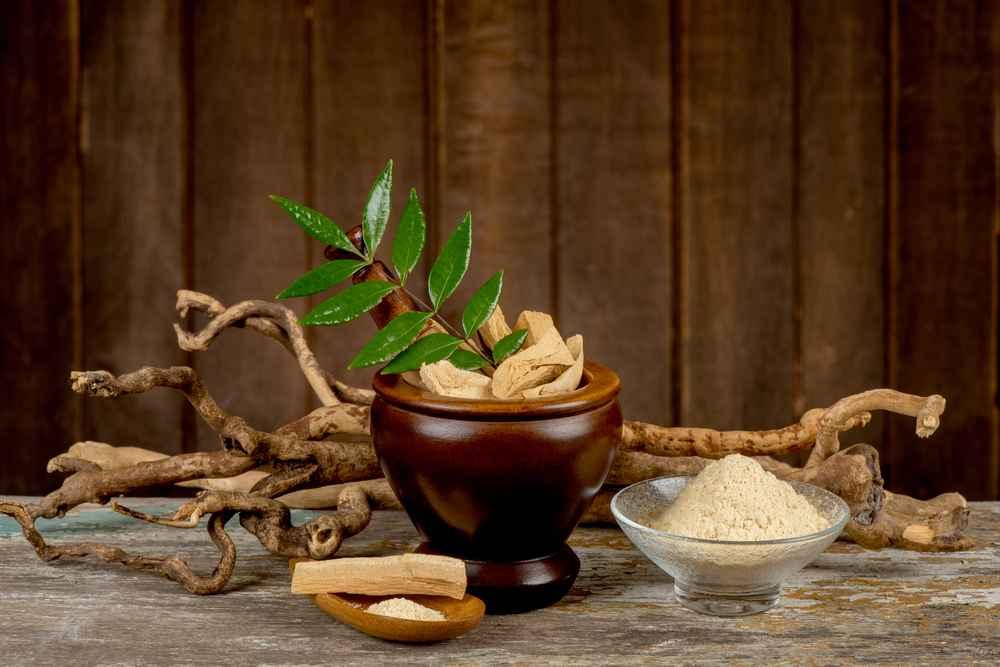 Cara Tepat Minum Pasak Bumi sebelum Berhubungan Intim