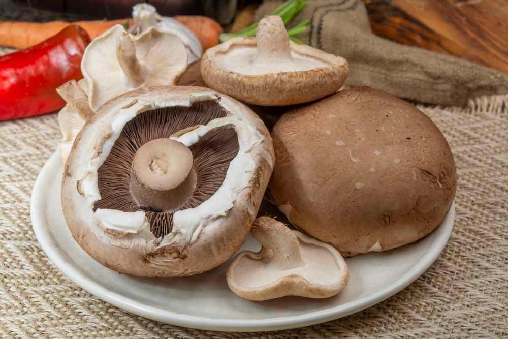 8 Manfaat Jamur Portobello dan Cara Mengolahnya