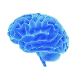 Mental