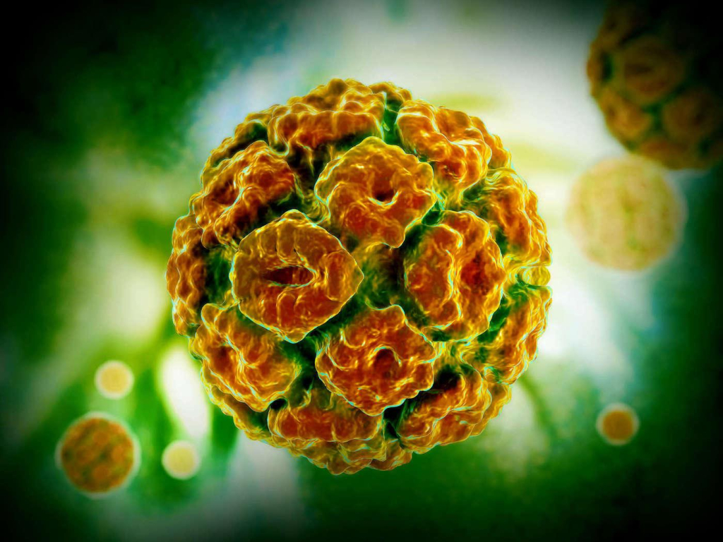 Apa Itu HPV dan Kenapa Kita Harus Waspada?